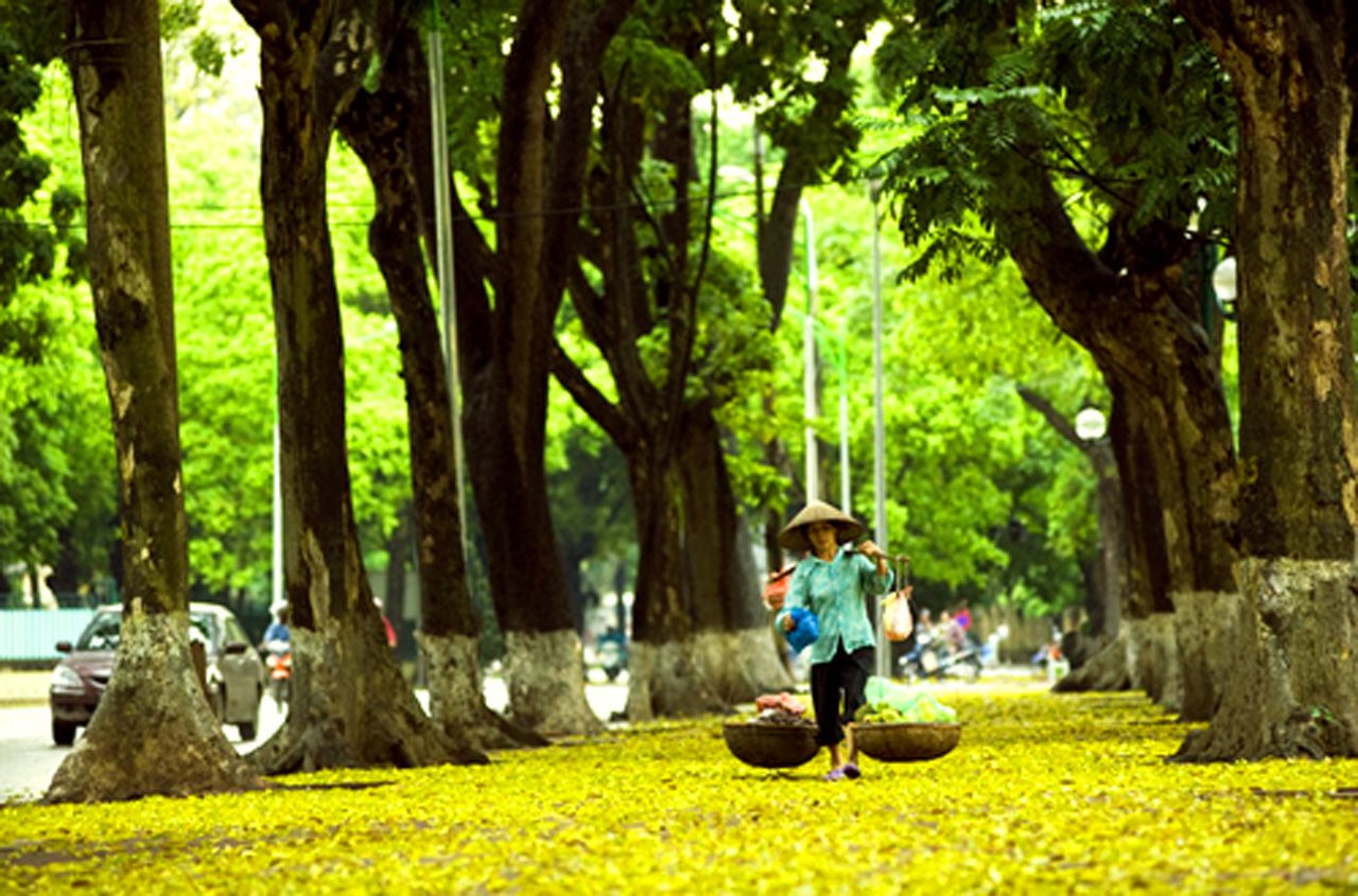 Three locations in Vietnam are among the “best walking cities” in the world.