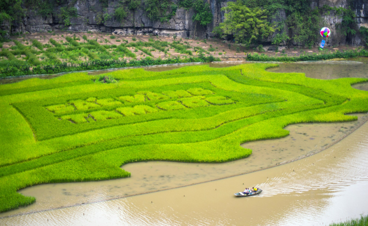 What should we do in Ninh Binh?