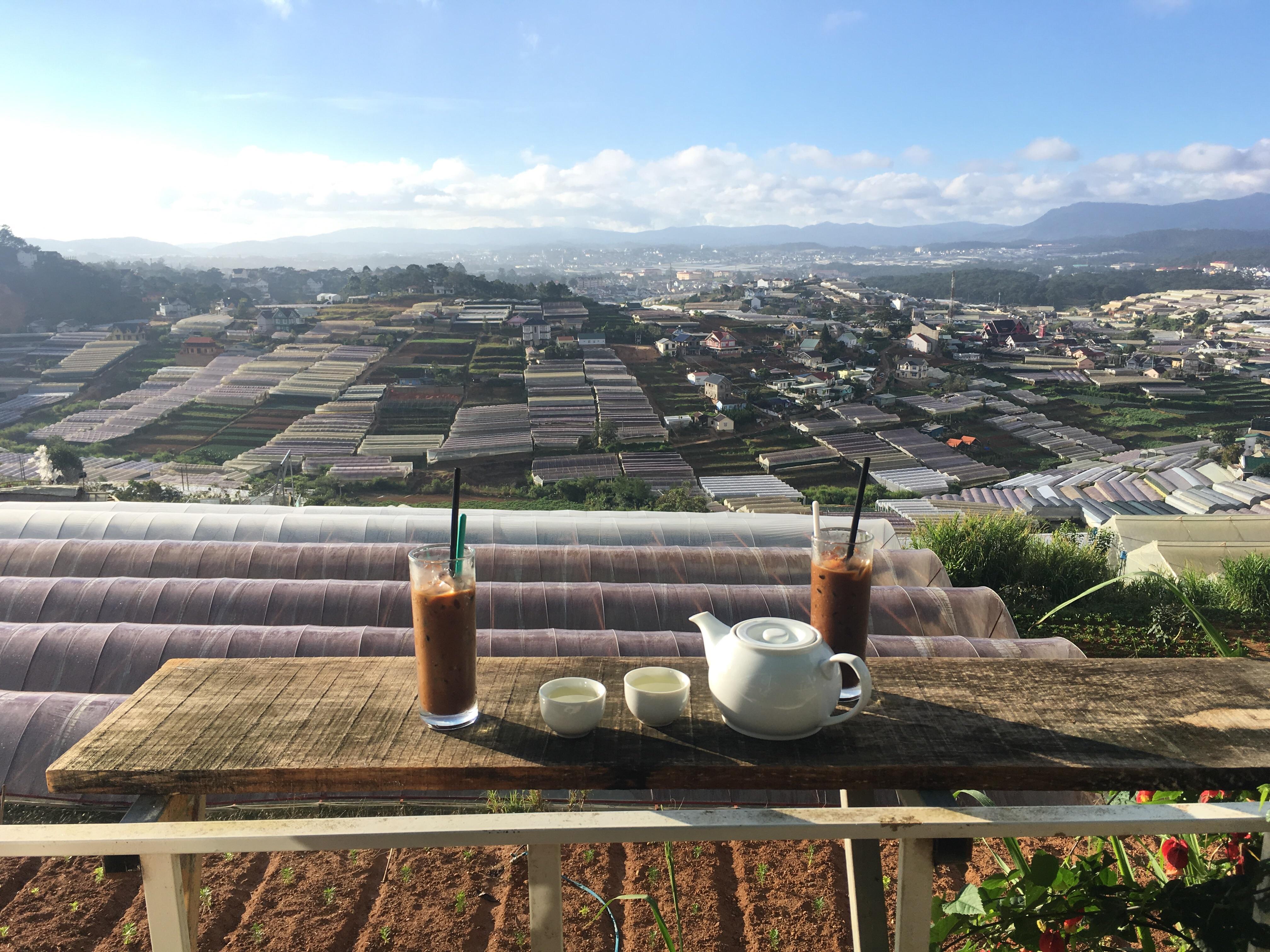 Farm Visits, Blossoms, Strawberries, and Coffee: Exploring Agrotourism in Dalat