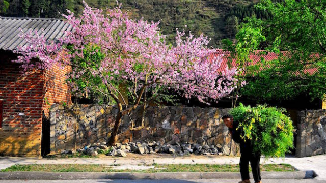 4 best destinations and things to do in Vietnam in spring